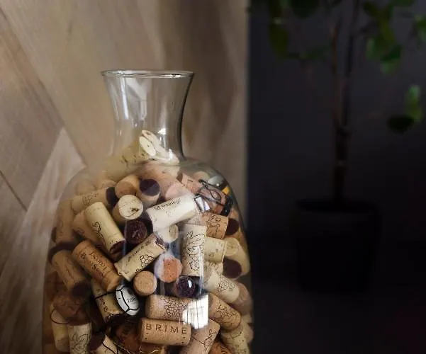 Apartmán Lazy - Luxury Yachting *